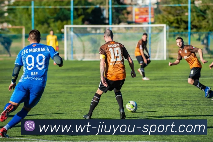 九游体育平台生态图